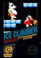 Ice Climber [5 Screw] - Complete - NES