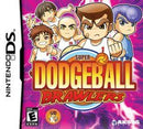 Super Dodgeball Brawlers - Loose - Nintendo DS