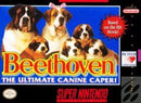 Beethoven - Loose - Super Nintendo