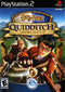Harry Potter Quidditch World Cup - In-Box - Playstation 2