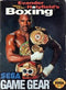 Evander Holyfield's Real Deal Boxing - Loose - Sega Game Gear  Fair Game Video Games