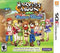Harvest Moon: Skytree Village Limited Edition - In-Box - Nintendo 3DS  Fair Game Video Games