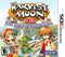 Harvest Moon: The Tale Of Two Towns - Loose - Nintendo 3DS  Fair Game Video Games