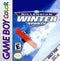 Millennium Winter Sports - In-Box - GameBoy Color  Fair Game Video Games