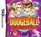 Super Dodgeball Brawlers - Loose - Nintendo DS  Fair Game Video Games