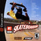 MTV Sports Skateboarding - In-Box - Sega Dreamcast